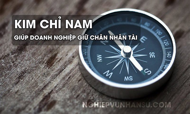 thu hút nhân tài